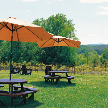 Image of Carolina Heritage Winery, one of the potential stops on Classic Winery Tours Yadkin Valley Winery Shuttle