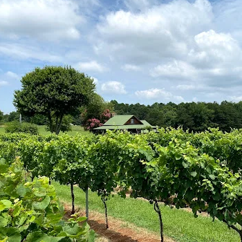 Image of Hidden Winery, one of the potential stops on Classic Winery Tours Yadkin Valley Winery Shuttle