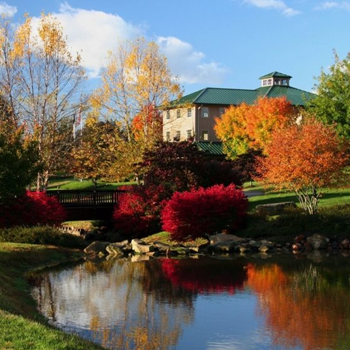 Image of Shelton Winery, one of the potential stops on Classic Winery Tours Yadkin Valley Winery Shuttle