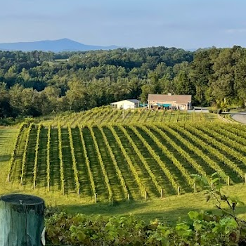Image of Golden Road Winery, one of the potential stops on Classic Winery Tours Yadkin Valley Winery Shuttle