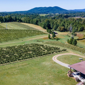 Image of Round Peak Winery, one of the potential stops on Classic Winery Tours Yadkin Valley Winery Shuttle