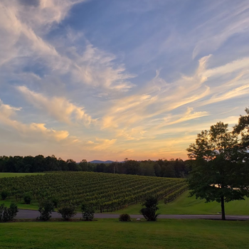 Image of Stony Knoll Winery, one of the potential stops on Classic Winery Tours Yadkin Valley Winery Shuttle